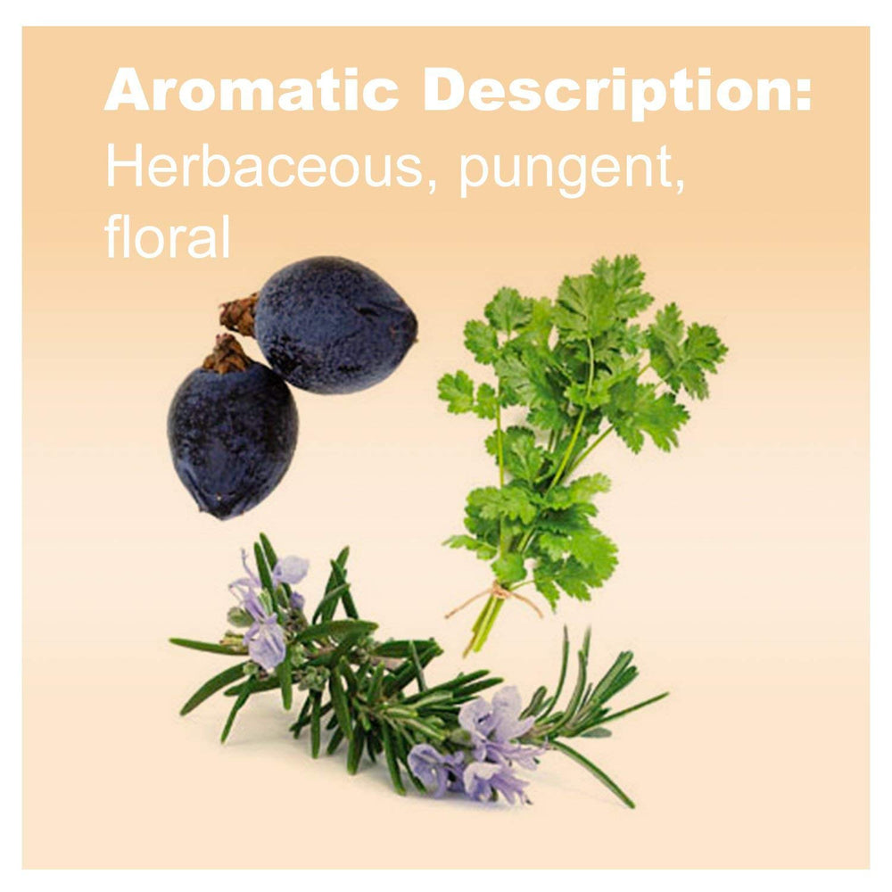 Rosemary, Cilantro and Juniper Berry essential oil 15 mL