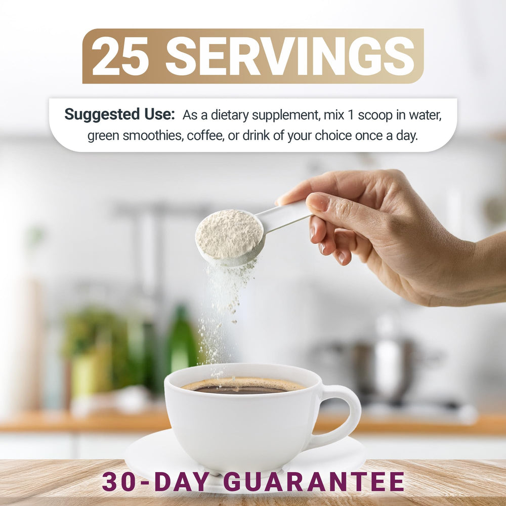 Serving spoon with Dr. Berg Multi Collagen Powder