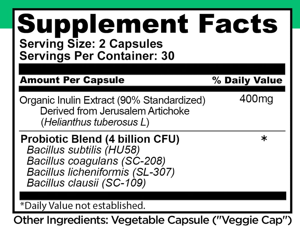 Illustration of a healthy digestive system with probiotic benefits
