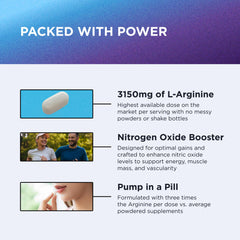 Graphic showing nitric oxide support and vascularity
