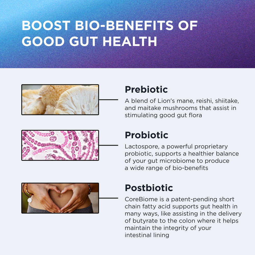 Bacillus coagulans (LactoSpore) probiotic capsules