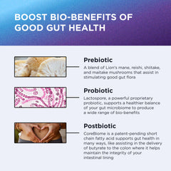 Bacillus coagulans (LactoSpore) probiotic capsules