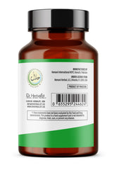 Digestive health and absorption illustration