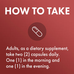Freshness nitrogen bubble inside Carnitine Complex capsule