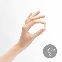 Images representing immune and bone health support