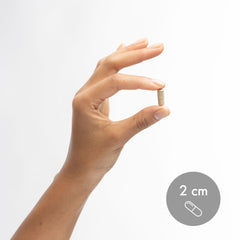 Product packaging and branding for Dr Mercola Digestive Enzymes