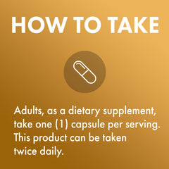 Healthy digestive system concept with natural ingredients