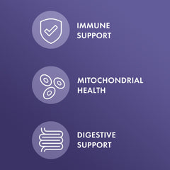 Three-pack display of Dr. Mercola Full Spectrum Enzymes