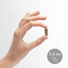 Vegetable-based capsules packaging of Dr. Mercola Herbal Immune Support