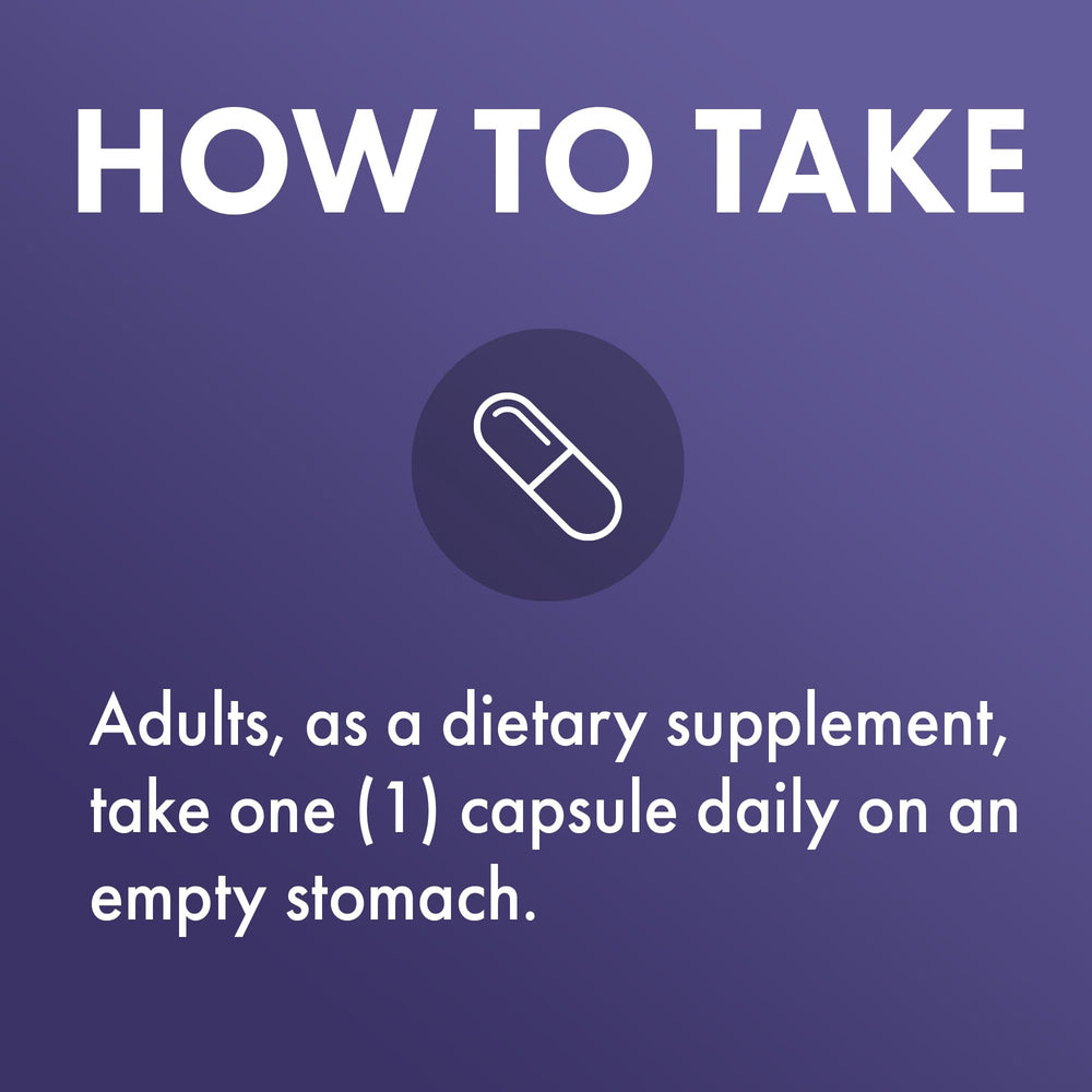 Cardiovascular and energy support concept for Lumbrokinase