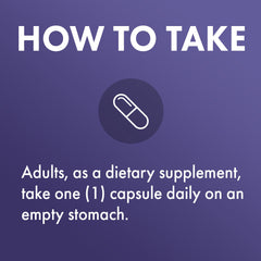 Cardiovascular and energy support concept for Lumbrokinase