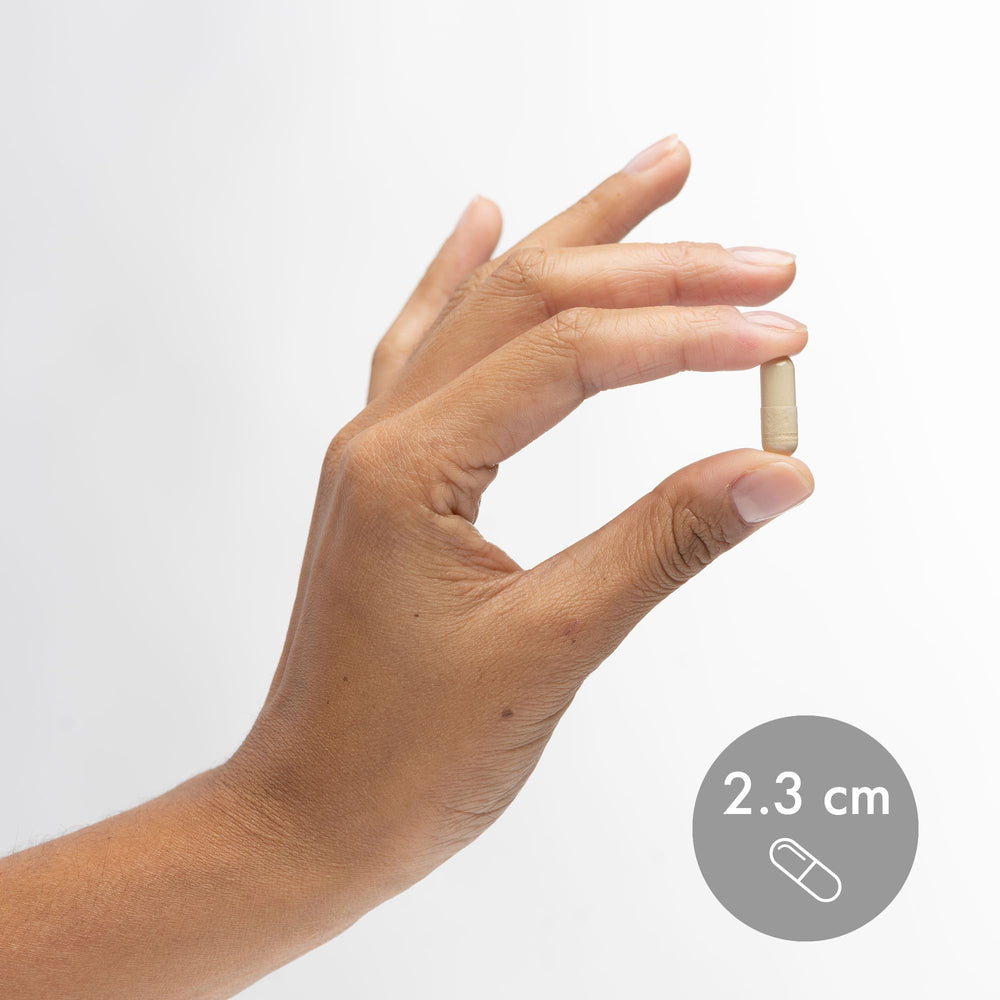 Product label and information for Lumbrokinase Enzymes