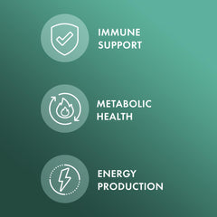 Close-up of L-Lysine HCl on supplement label