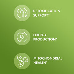 Graphic showing 5-MTHF bioavailable folate
