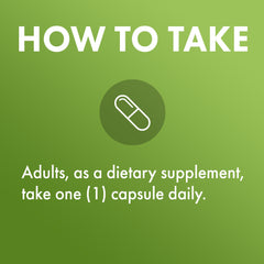 Methylation balance and detox support iconography