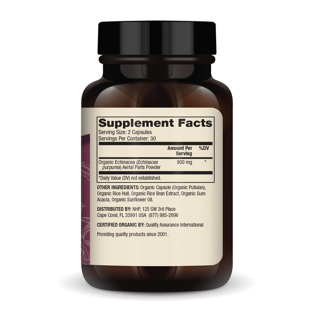Close-up of Echinacea purpurea plant used in supplement