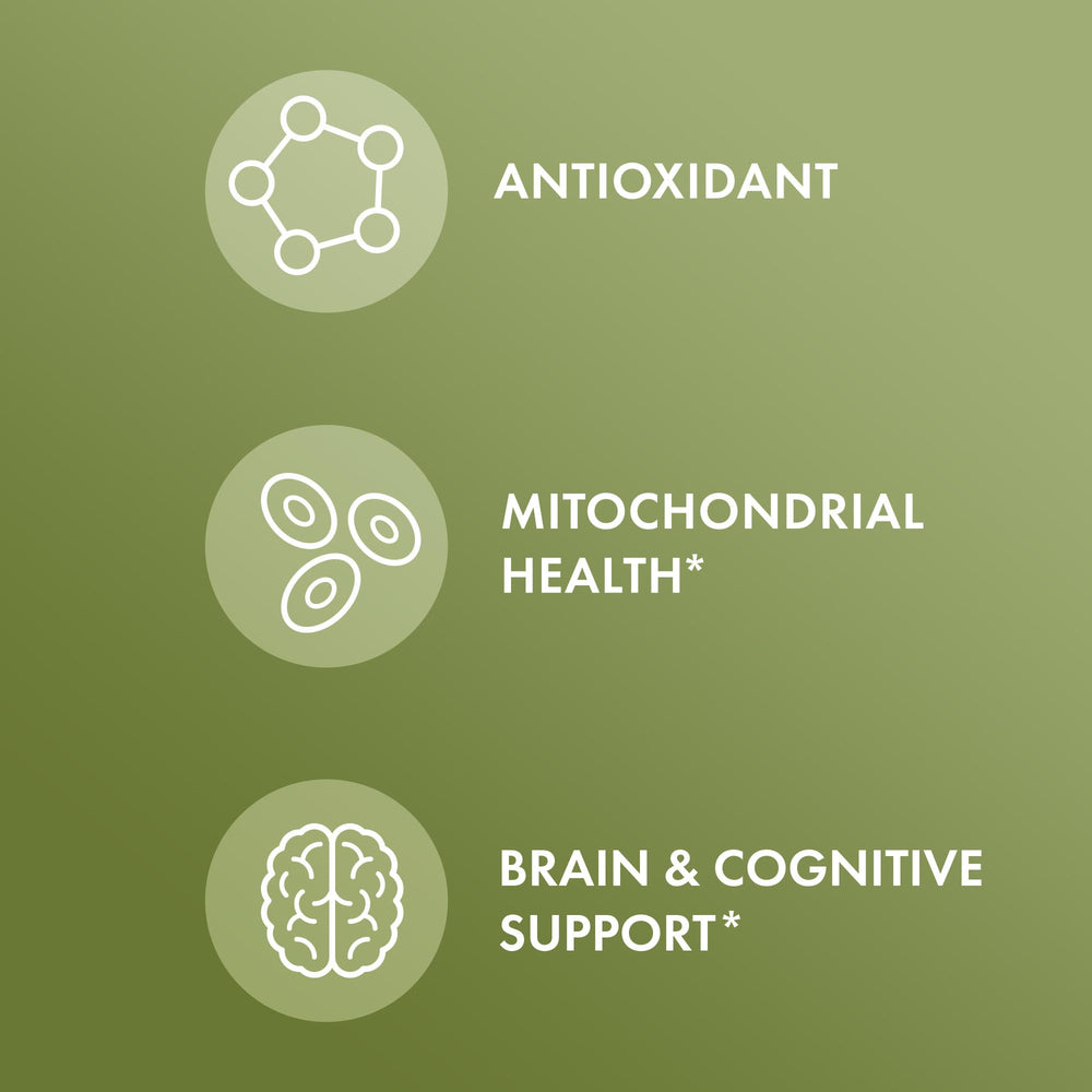 NeuroFactor coffee fruit extract illustration