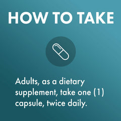 Graphic illustrating high absorption monomethylsilanetriol