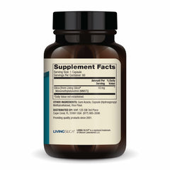 Illustration of plant-based silica ingredients for collagen support