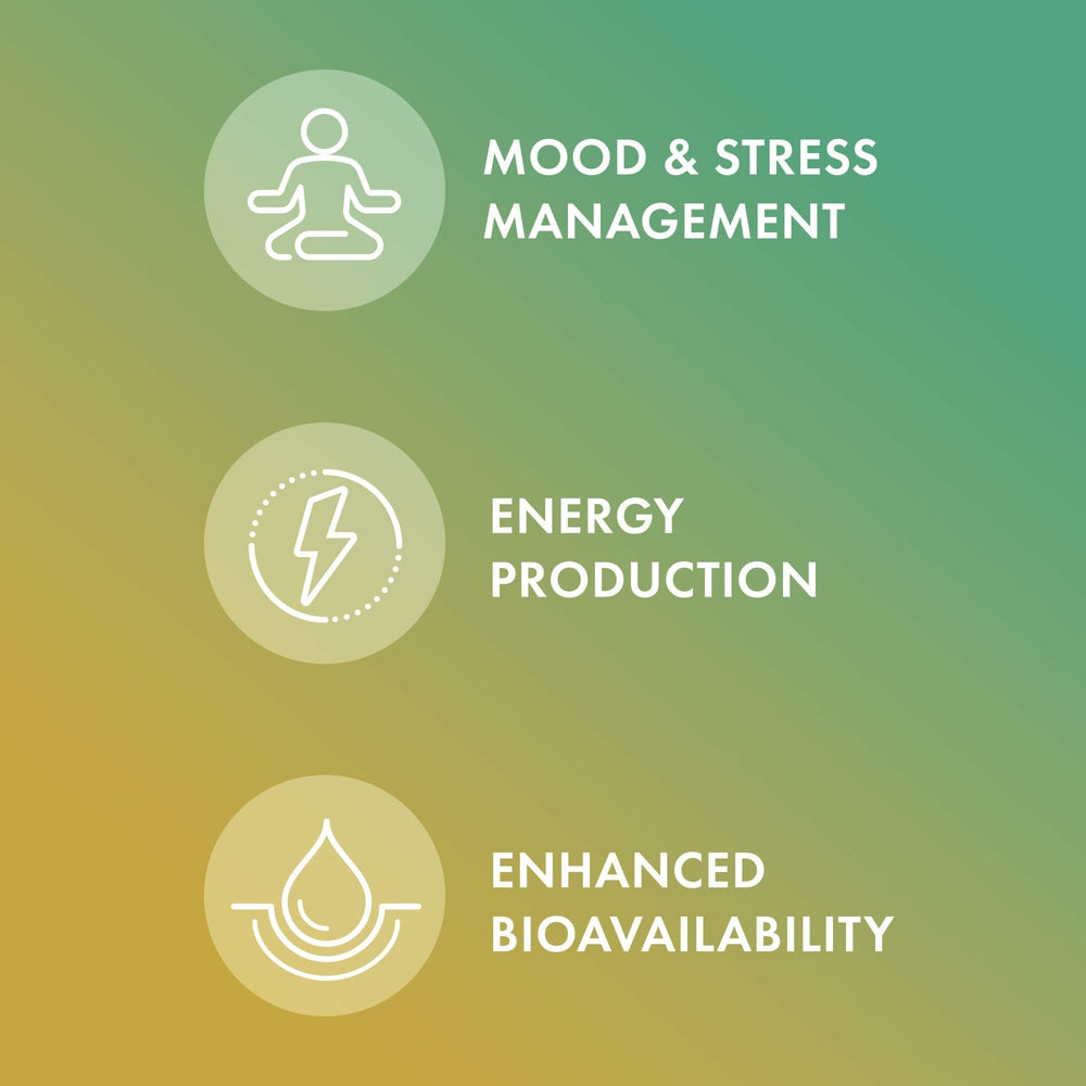 Rear nutrition facts panel of Dr. Mercola Vitamin B Complex