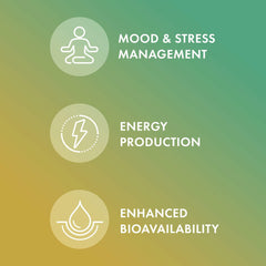 Rear nutrition facts panel of Dr. Mercola Vitamin B Complex