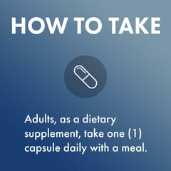 Illustration highlighting brain support benefits