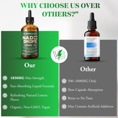 Ingredients overview for NAD+ liquid drops (non-GMO, plant-based)