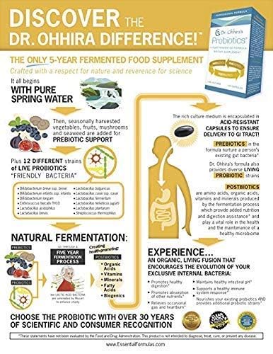 Graphic illustration of gut microbiome and probiotic benefits
