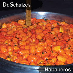 Dr. Schulze's Brain Formula packaging and product shot
