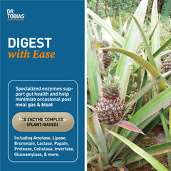 Capsules of Dr. Tobias Digestive Enzymes