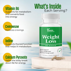 Healthy meal and portion control lifestyle image