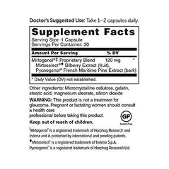 Illustration highlighting Pycnogenol and Mirtoselect bilberry extract ingredients