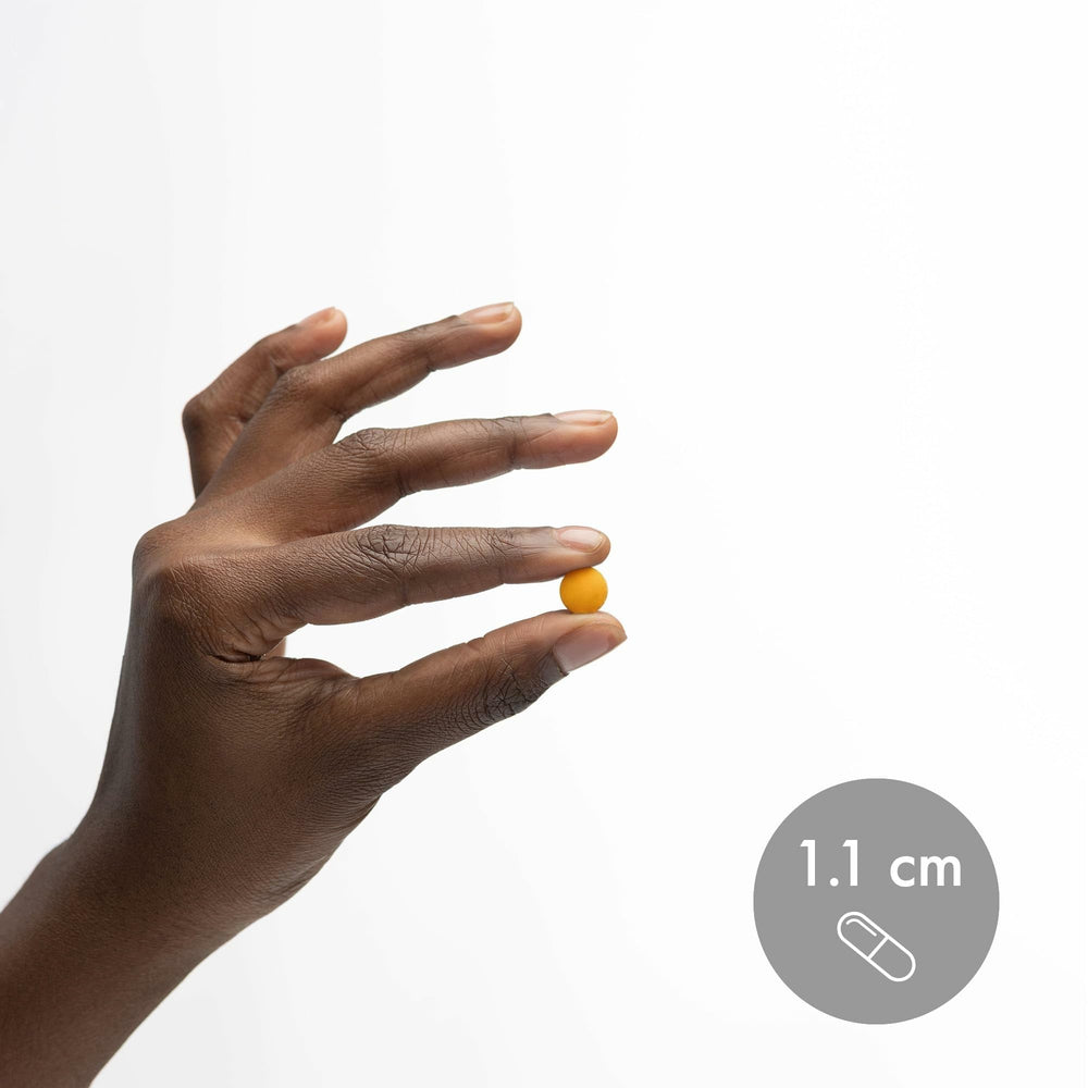 Sustainably harvested turmeric used in Dr. Mercola Curcumin Extract