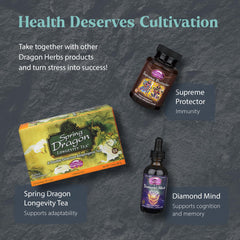 Product bottle with Dragon Herbs branding and capsules
