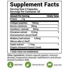 Cinnamon extract and mulberry leaf extract ingredients