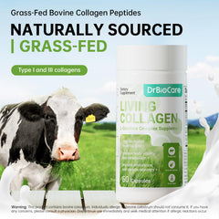 Grass-fed bovine collagen peptides illustration