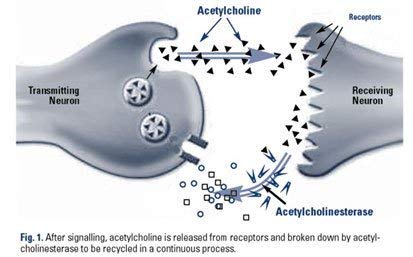 USA-made quality assurance and premium supplement ingredients label