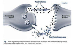 USA-made quality assurance and premium supplement ingredients label