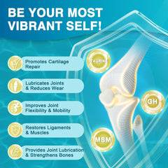 Illustration of Type I & III collagen and ingredients