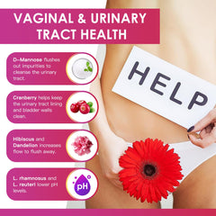 Illustration representing 31 probiotic strains for gut health