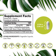 Eco-friendly packaging for DSO L-Methylfolate supplement