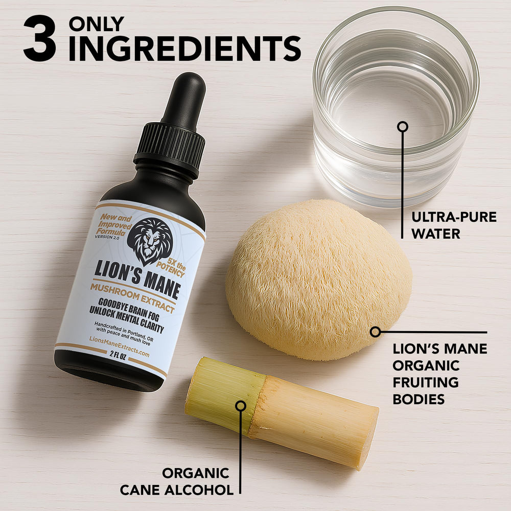 Illustration of the dual-extraction process for Lion's Mane tincture