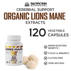 Dual-extraction processing illustration for Lion's Mane