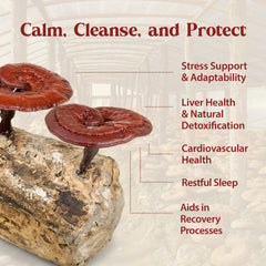 Dropper releasing Duanwood Reishi Drops tincture