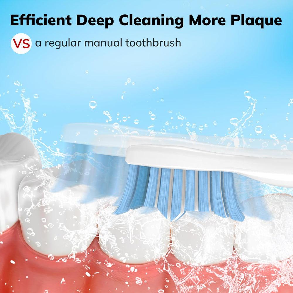Close up of US DuPont soft bristles on a replacement toothbrush head