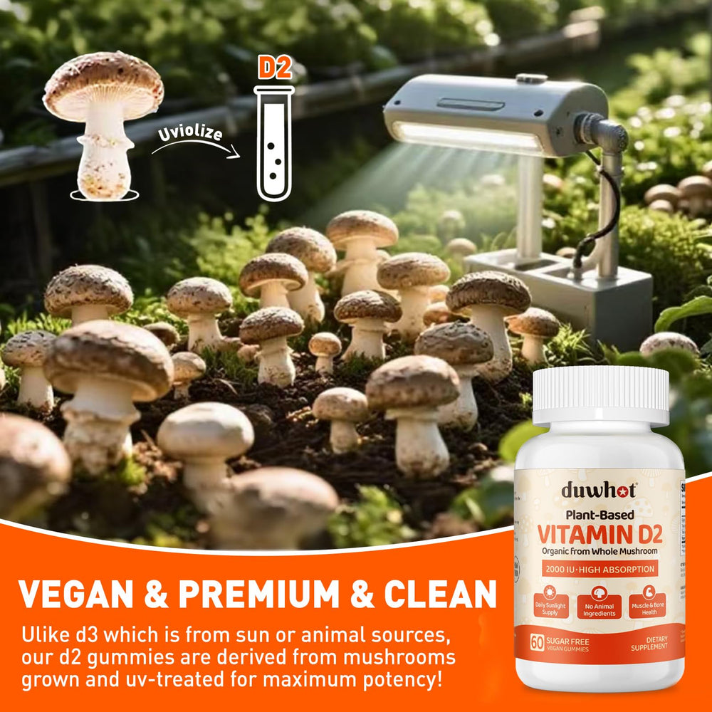 Close-up of chewable gummies texture and orange flavor