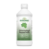 Dynamic Health Chlorophyll Peppermint 100 mg bottle front view