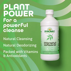 Nutrition facts panel for Dynamic Health Liquid Chlorophyll