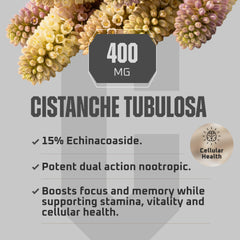 Earth Elixir Cistanche Tubulosa capsules per bottle emphasize value and vitality