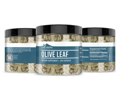Close-up of Earthborn Elements Olive Leaf Extract label